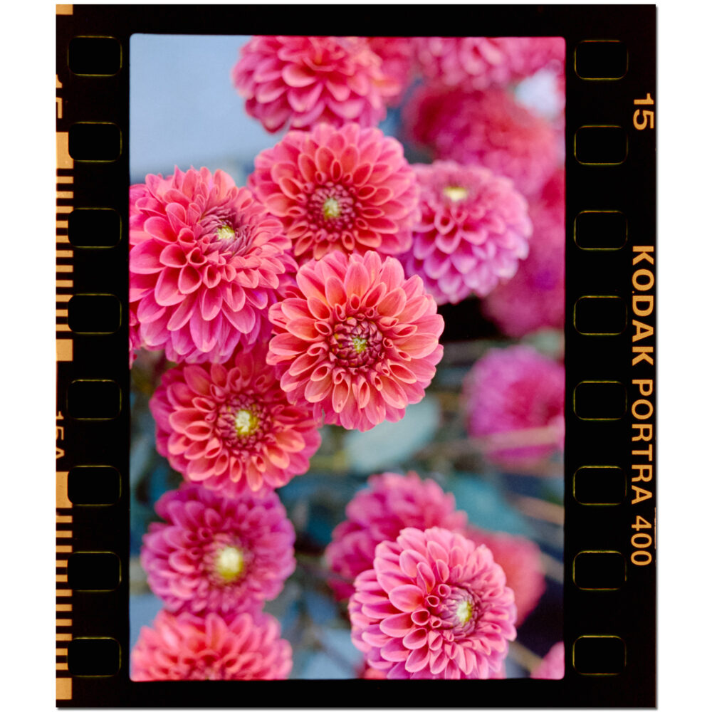 Mums the word