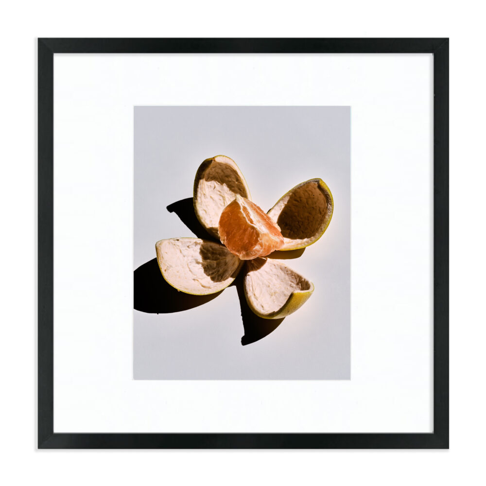 Grapefruit Blossom