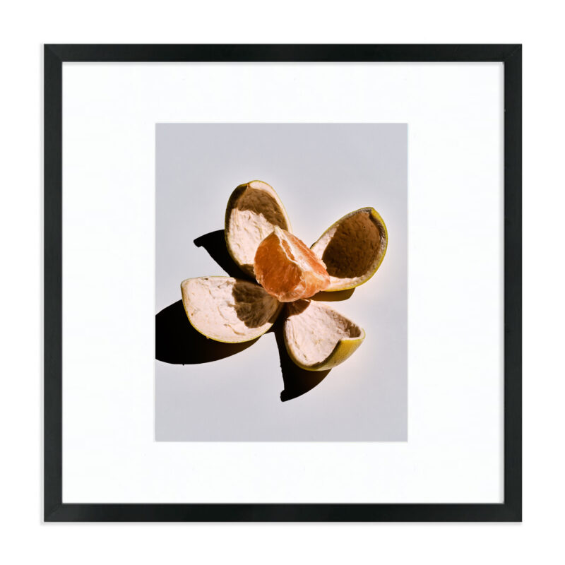 Grapefruit Blossom