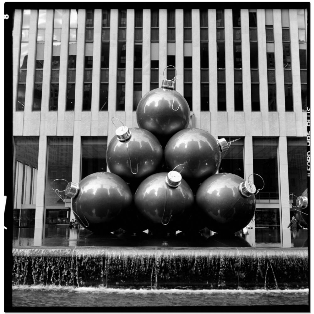 Ornamental Water