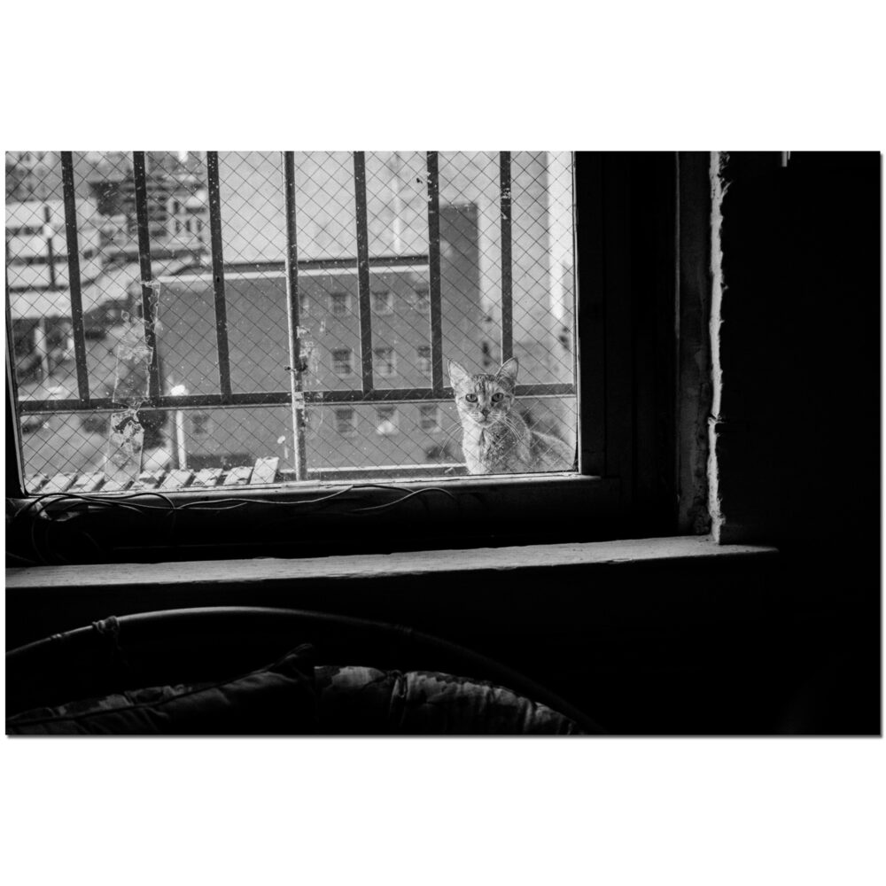 Onlooker